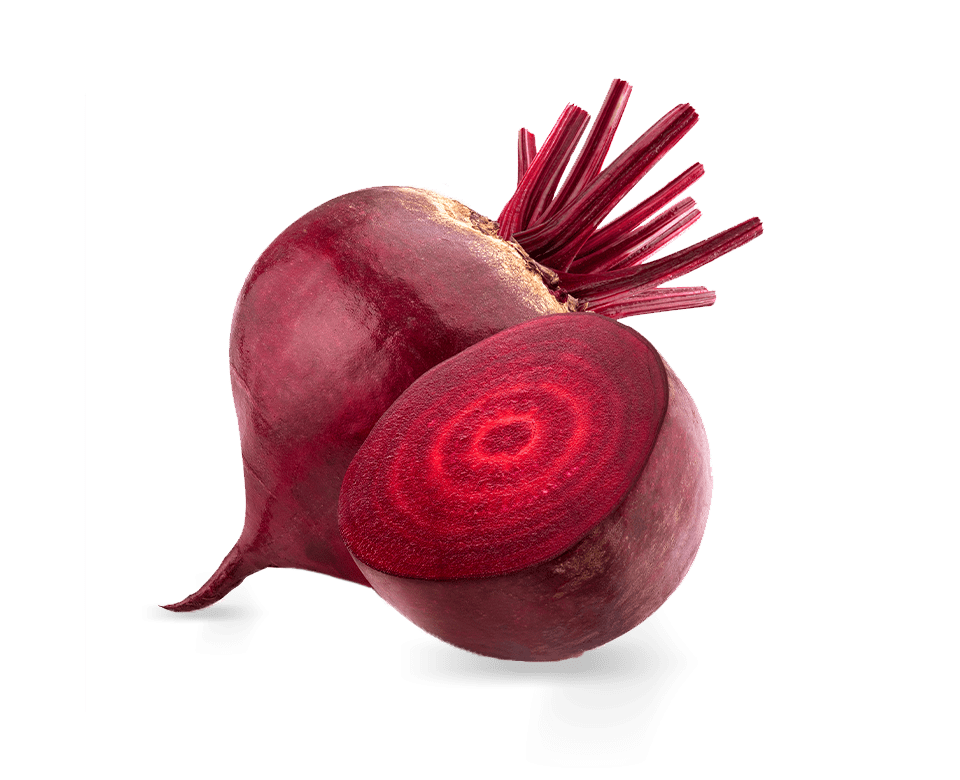 Rode bieten